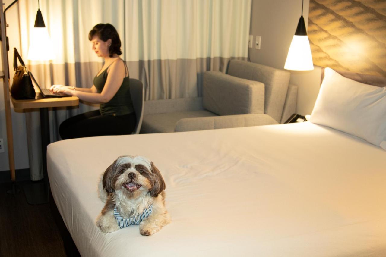 Ibis Sao Paulo Tatuape Hotel Eksteriør billede
