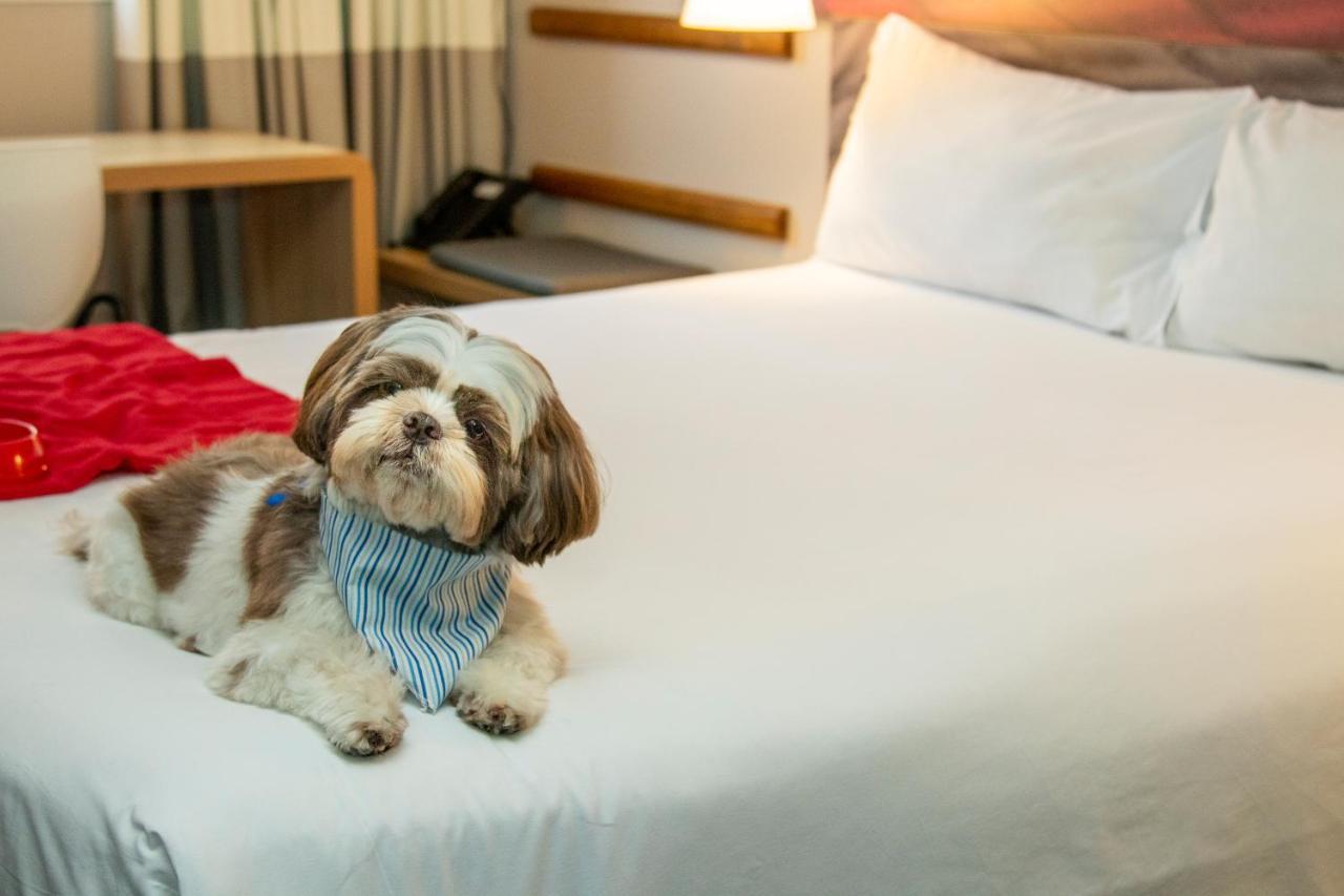 Ibis Sao Paulo Tatuape Hotel Eksteriør billede