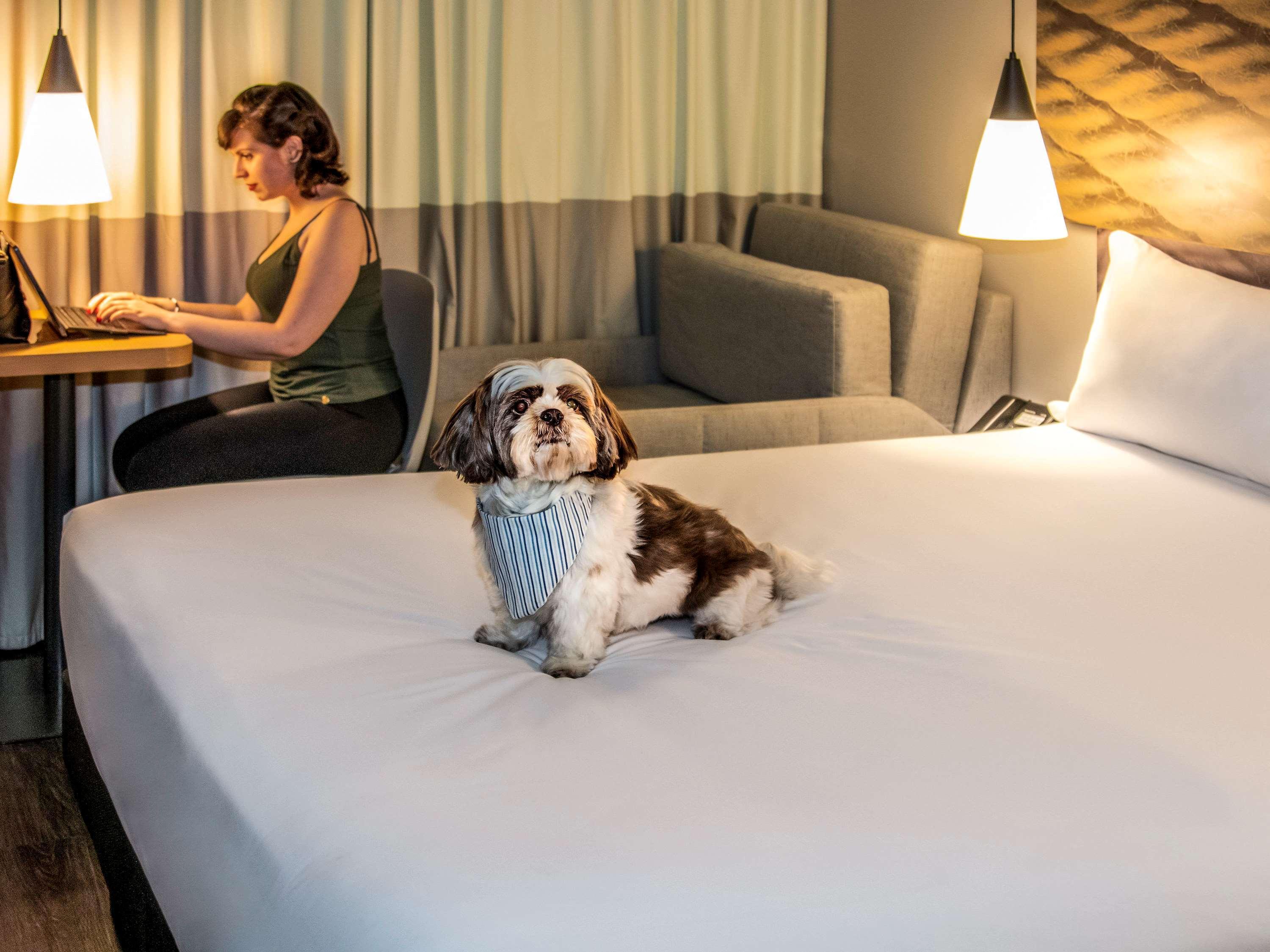 Ibis Sao Paulo Tatuape Hotel Eksteriør billede